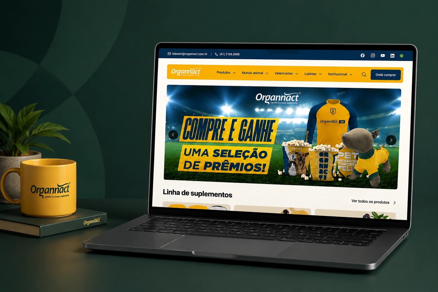 Uma nova casa digital para cada público da Organnact